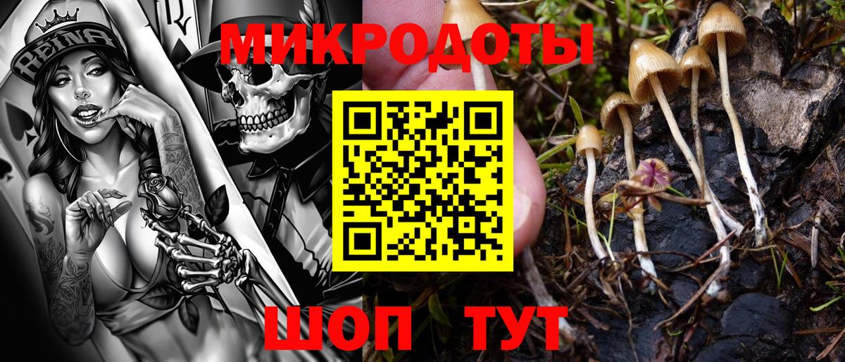 сколько стоит  Вход с VPN  Псилоцибиновые грибы Magic Shrooms  Железноводск  Псилоцибиновые грибы Cubensis 