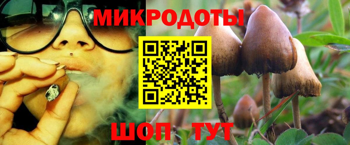 Псилоцибиновые грибы Psilocybe Железноводск